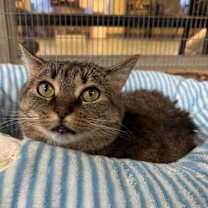 Thumbnail photo of Leia #2