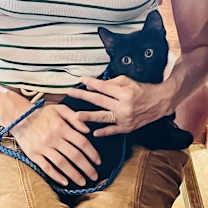 Thumbnail photo of Basil #2