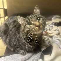 Thumbnail photo of Theo #1