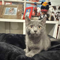 Thumbnail photo of Kaitlyn #2