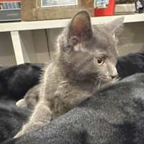 Thumbnail photo of Kaitlyn #3