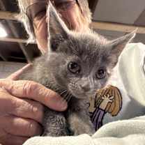 Thumbnail photo of Flossy #2