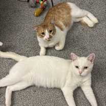 Thumbnail photo of August 2 #3