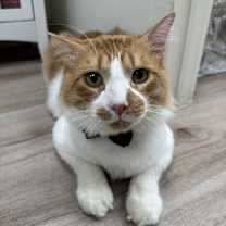 Thumbnail photo of August 2 #4