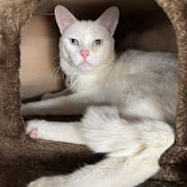 Thumbnail photo of Lad #2