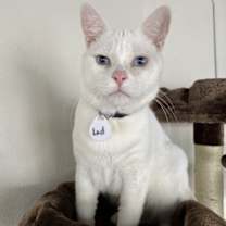 Thumbnail photo of Lad #3