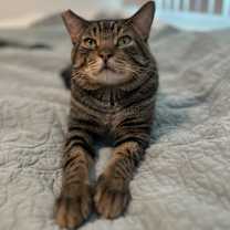 Thumbnail photo of Rhette #1