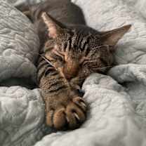 Thumbnail photo of Rhette #2