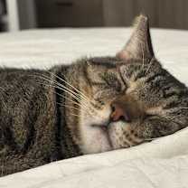 Thumbnail photo of Rhette #4