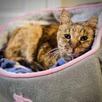 Thumbnail photo of Jodi #2