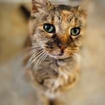 Thumbnail photo of Jodi #3