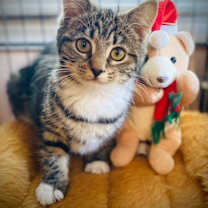 Thumbnail photo of MaryAnn #1