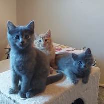 Thumbnail photo of Jacque #2