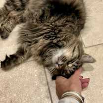 Thumbnail photo of Mica Mittens #3