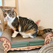 Thumbnail photo of Charlotte #2