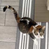 Thumbnail photo of Charlotte #3