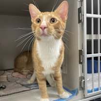 Thumbnail photo of Zak #1