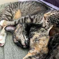 Thumbnail photo of Yumi #4