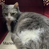 Thumbnail photo of Marlee #3