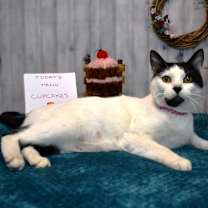 Thumbnail photo of Dinah #2