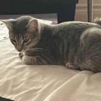 Thumbnail photo of Grayson #4