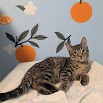 Thumbnail photo of Sky #3