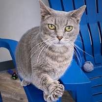 Thumbnail photo of Luna #4