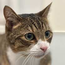 Thumbnail photo of Cruz #3