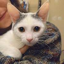 Thumbnail photo of Stormy & Stanley #2