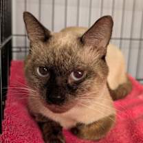 Thumbnail photo of August #3