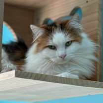 Thumbnail photo of Mitzi #1