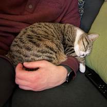 Thumbnail photo of Pepper #1