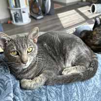 Thumbnail photo of River #2