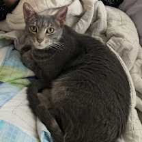 Thumbnail photo of River #3