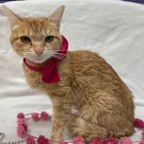 Thumbnail photo of *BETH #2