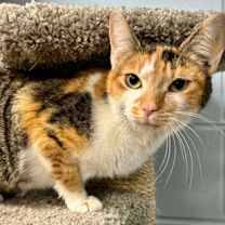 Thumbnail photo of Margo #3