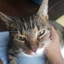 Thumbnail photo of Liam #1