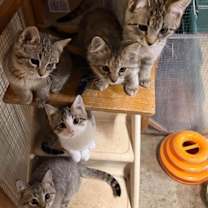 Thumbnail photo of Clark C67662 #2