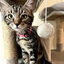 Thumbnail photo of Heimer #1