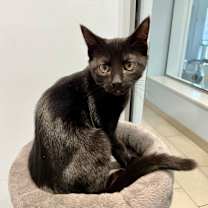 Thumbnail photo of Windy #1