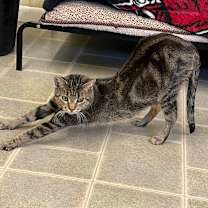 Thumbnail photo of Tortellini #3