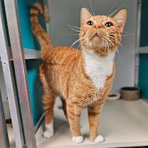 Thumbnail photo of Bernard #1