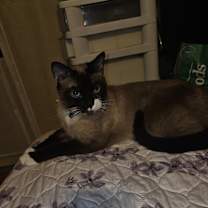 Thumbnail photo of MJ #1