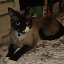 Thumbnail photo of MJ #2