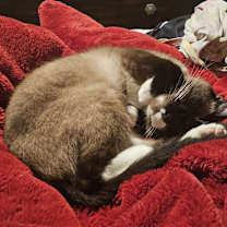 Thumbnail photo of MJ #3