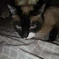 Thumbnail photo of MJ #4