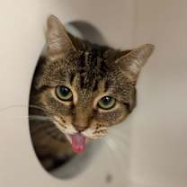 Thumbnail photo of Pepper #2