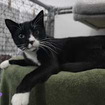 Thumbnail photo of Dillon #3