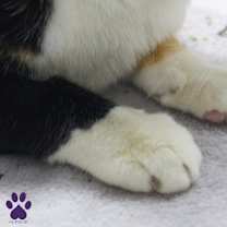 Thumbnail photo of Monroe #4