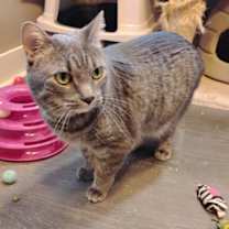 Thumbnail photo of Devereaux #3